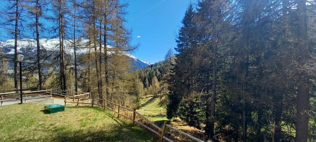 Stelviostay Residence Stelvio Valdisotto Luaran gambar